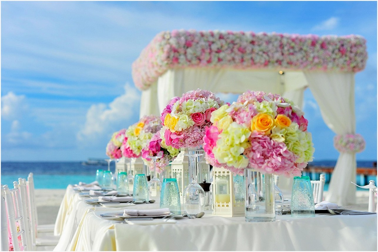 beach, wedding, reception, flower background, table setting, centerpieces, flower vases, event, beach wedding, nature, wedding photography, wedding preparations, bunch of flowers, celebration, chairs, decorations, flowers, sea, summer, table, table set-up, beautiful flowers, tropical, wedding setup, flower wallpaper, gazebo
