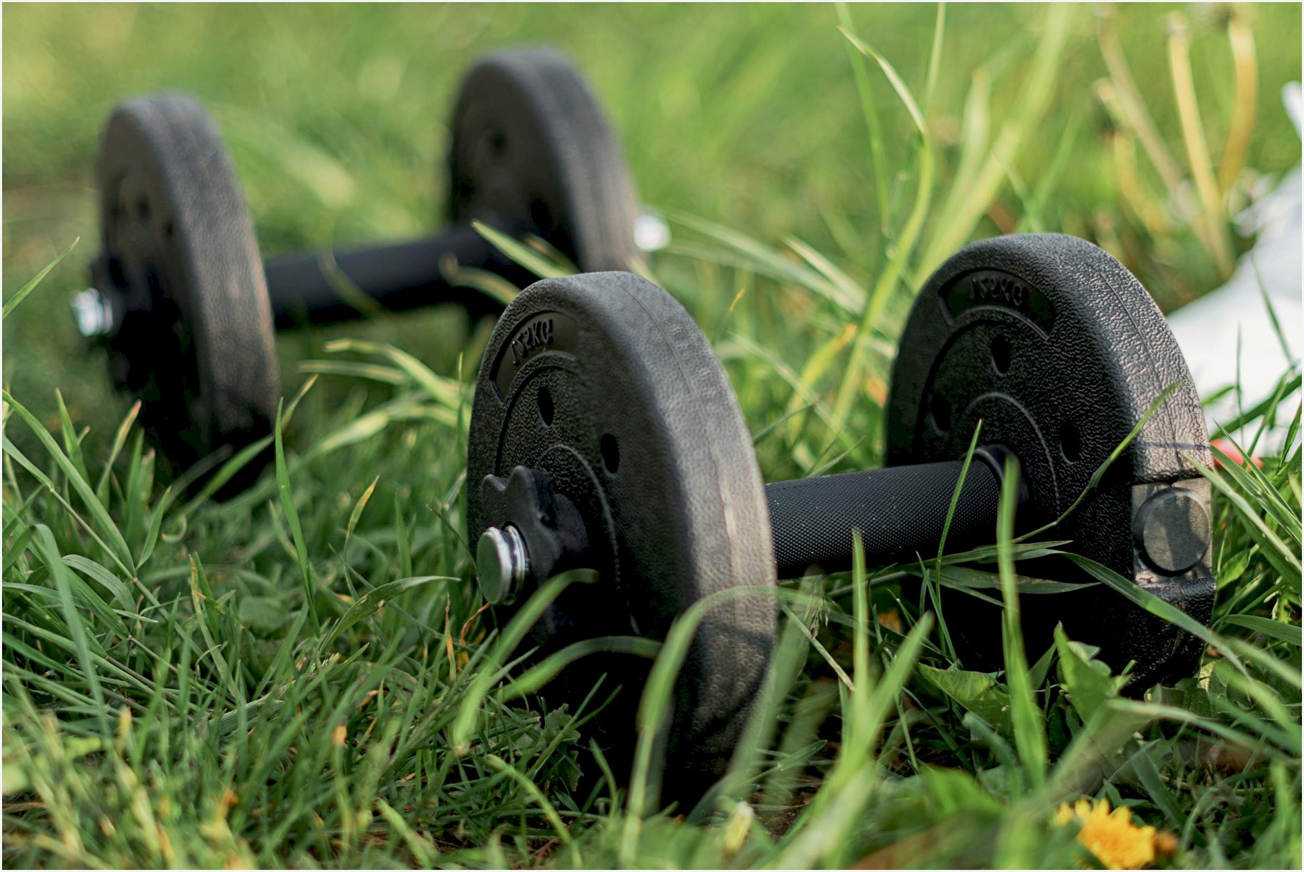 Pair of black dumbbells on lush green grass, ideal for outdoor fitness imagery.