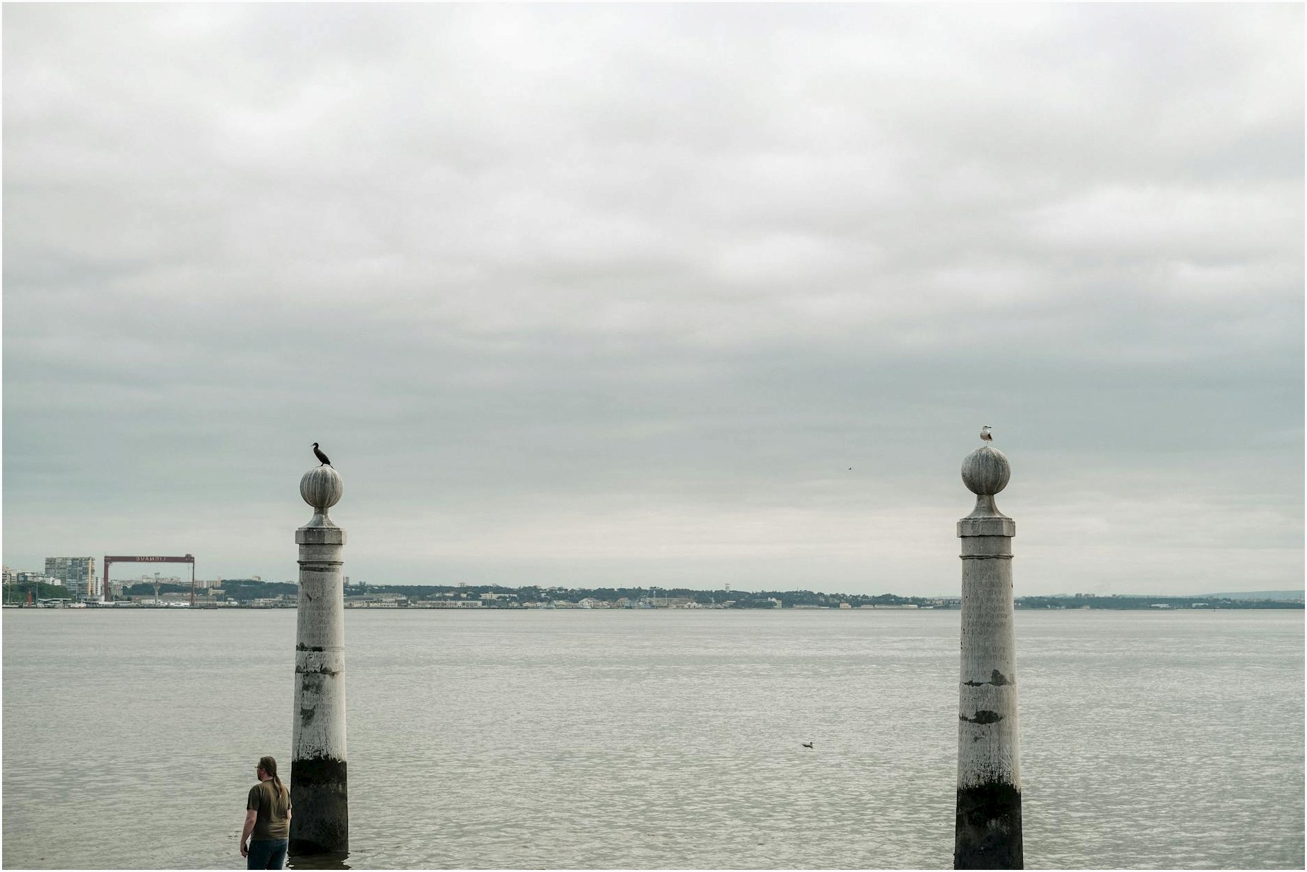 Birds perched on stone pillars by the river, with a calm horizon.