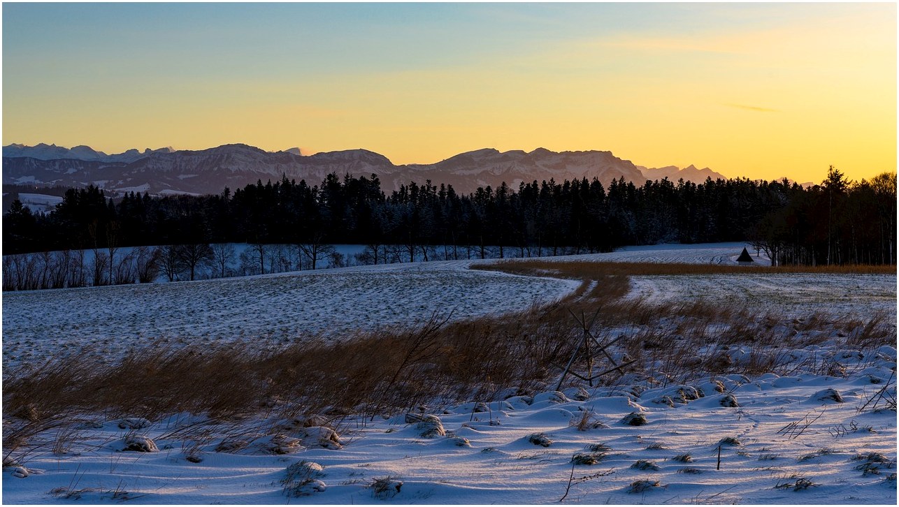 winter landscape, snow, morning light, snow landscape, pilate, nature, canton luzerm, luzerner hinterland