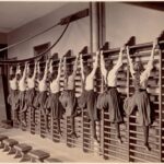 Espaldar para Pilates: como escolher material, fixação e segurança para casa ou estúdio