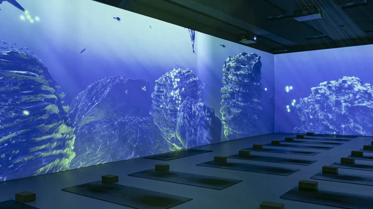 Sala de prática com colchonetes e iluminação projetada nas paredes