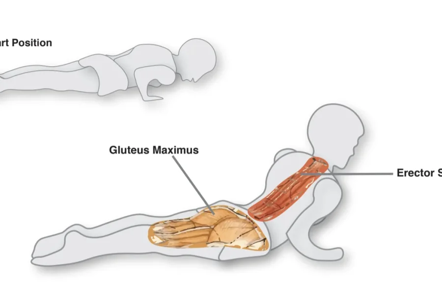 Diagrama do Breast Stroke Prep no Pilates, com a posição inicial e os músculos das costas e do glúteo destacados